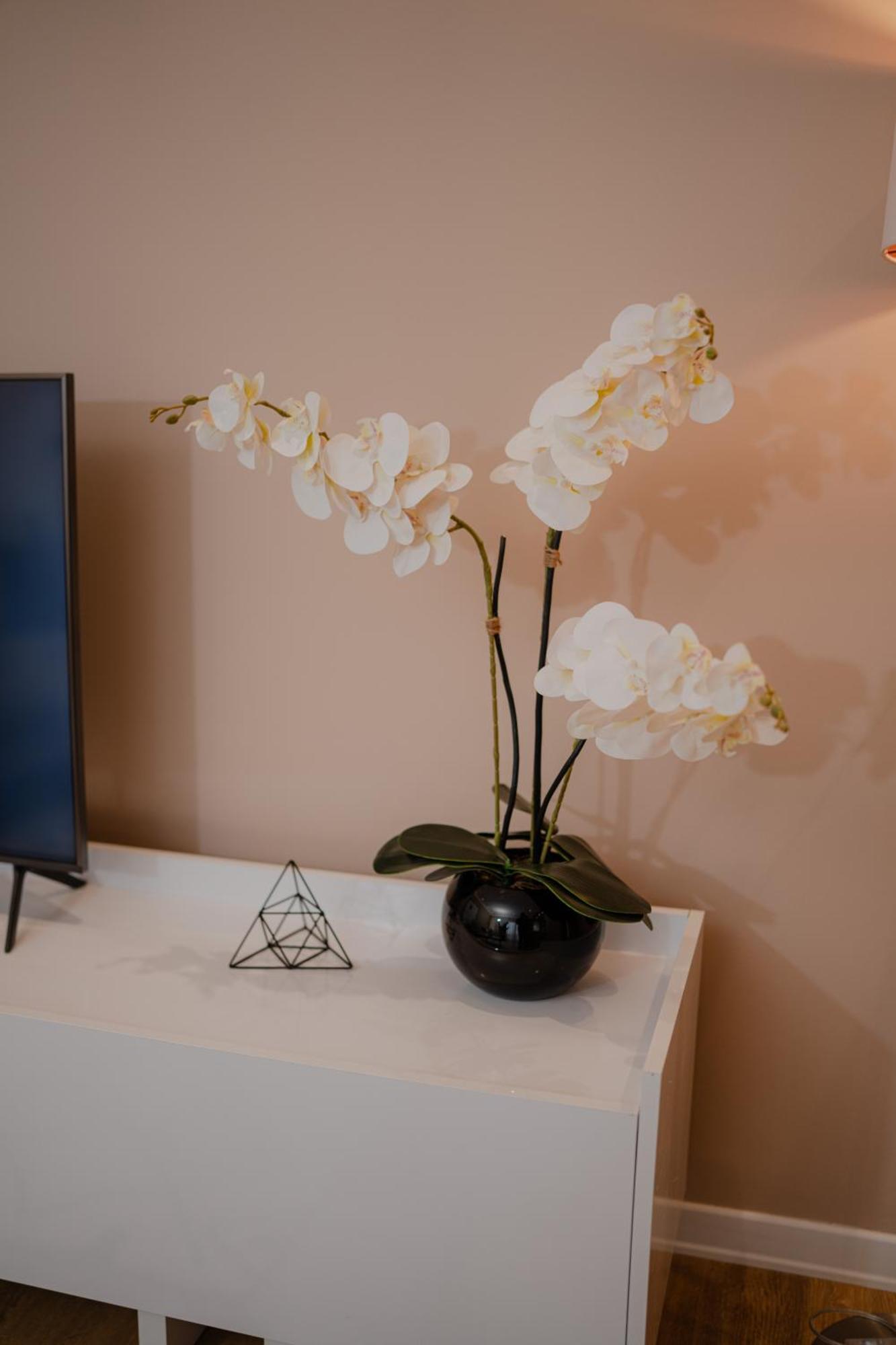 Drive Rooms&apartments Hotel apartamentowy