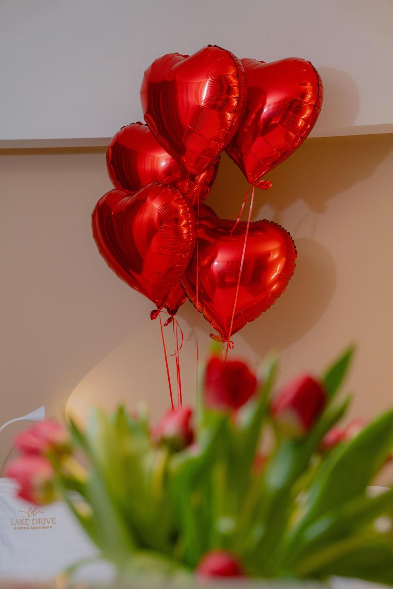 Drive Rooms&apartments Hotel apartamentowy Tirana